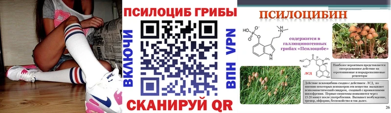 Галлюциногенные грибы Psilocybe Тюкалинск